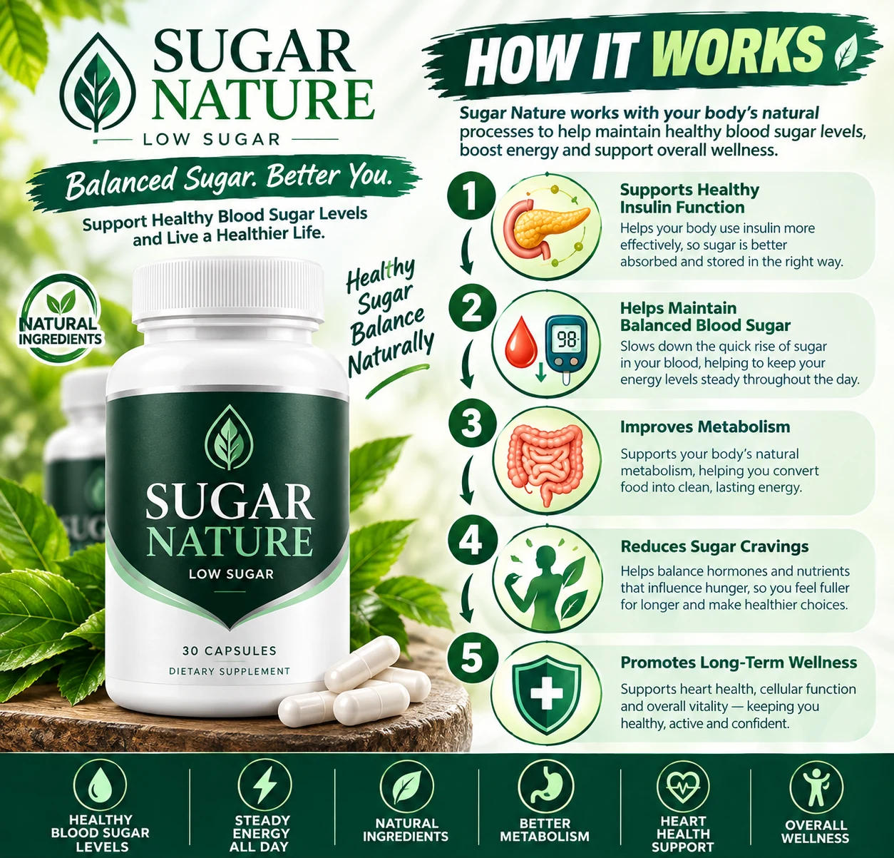 How Sugar Nature works — supporting healthy insulin function, balanced blood sugar, metabolism and steady energy